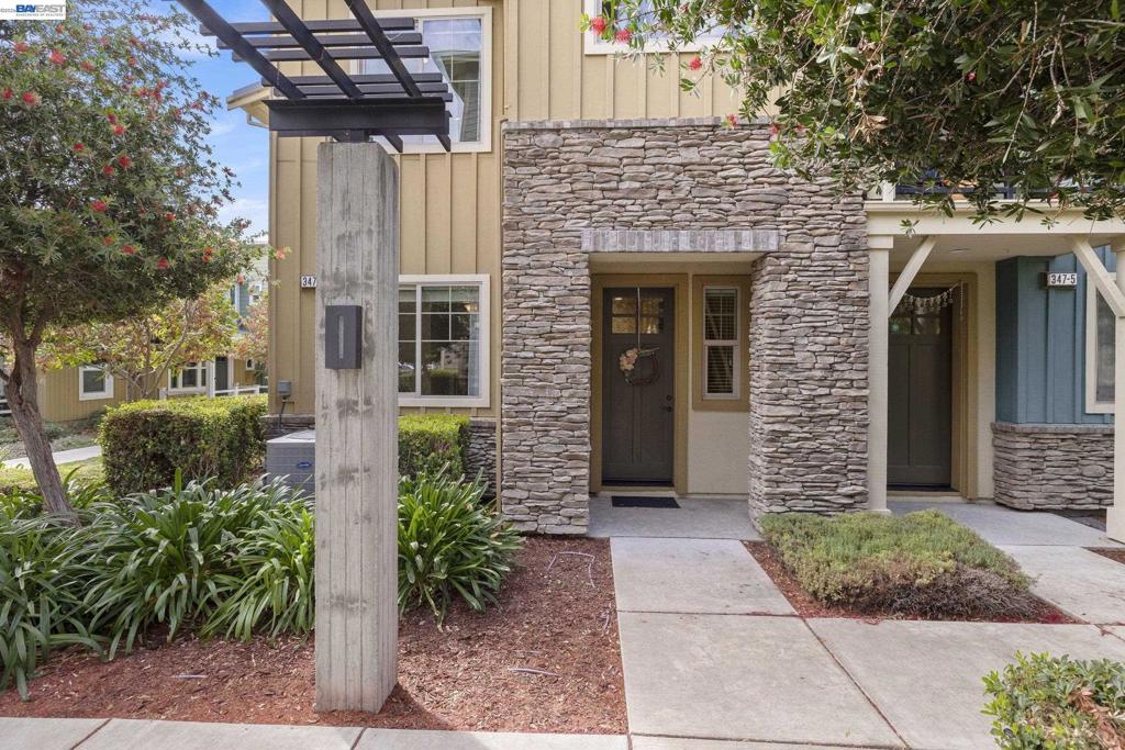 347 Basswood Cmn 6