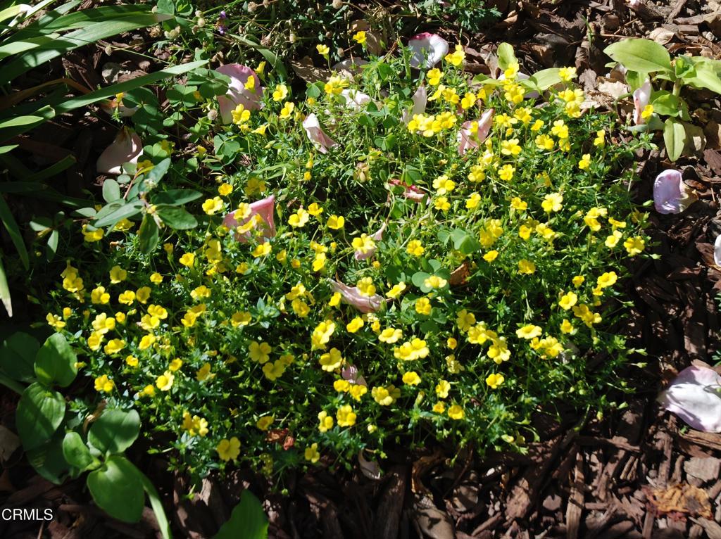 Casa Del Norte MHP - 1994 - Manufactured In Park