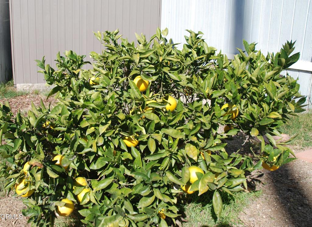 Casa Del Norte MHP - 1994 - Manufactured In Park