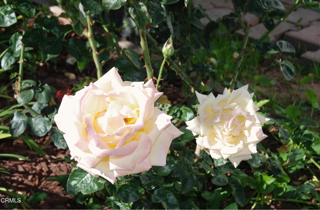 Casa Del Norte MHP - 1994 - Manufactured In Park