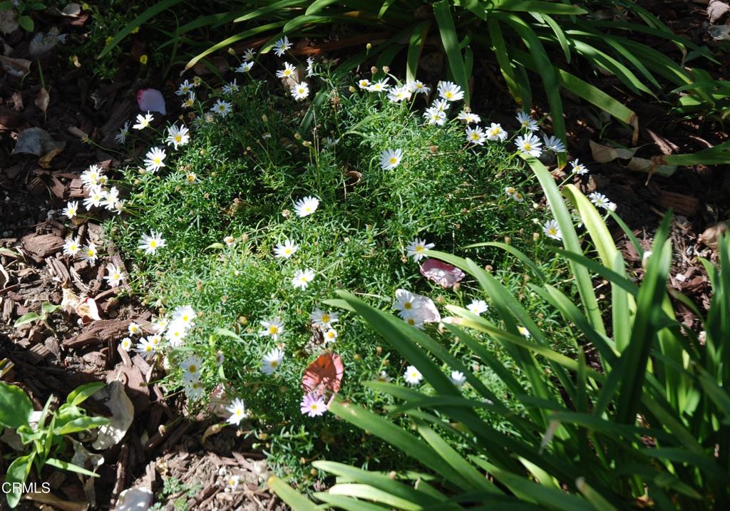 Casa Del Norte MHP - 1994 - Manufactured In Park