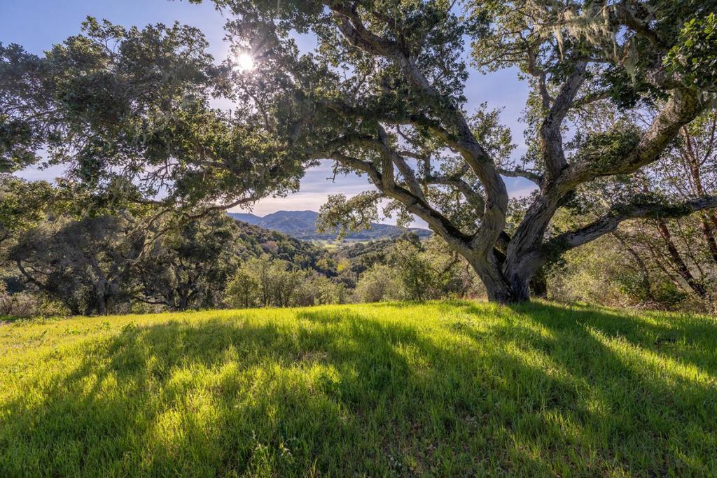 7 Vasquez Trail (Lot 172)