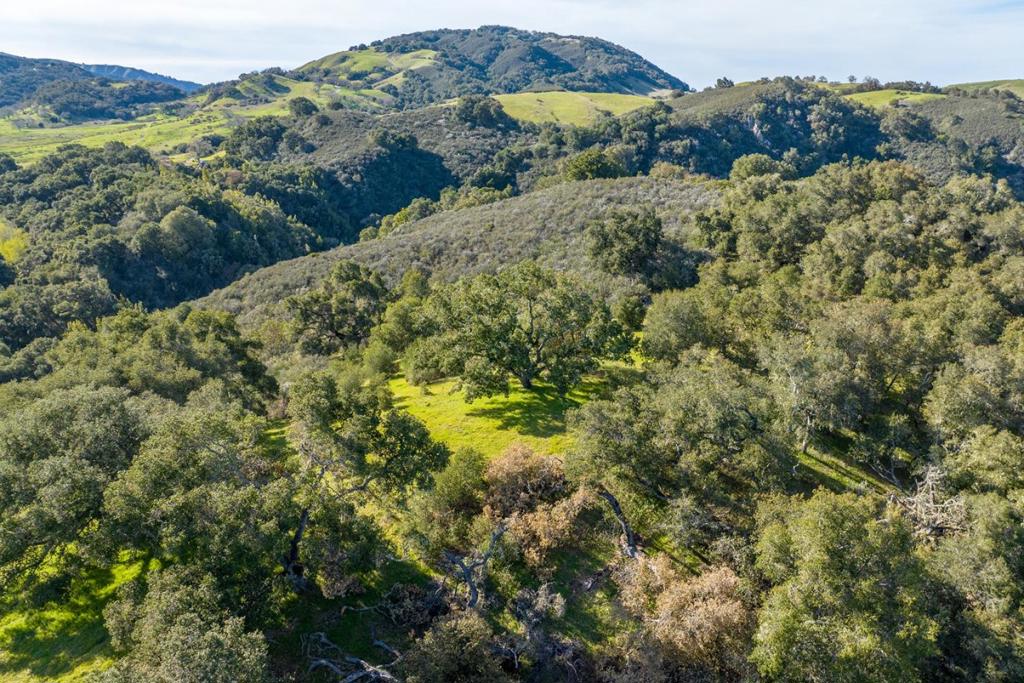 7 Vasquez Trail (Lot 172)