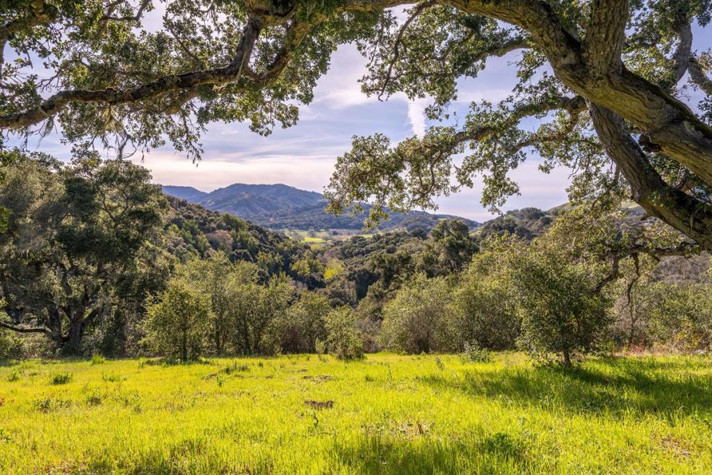 7 Vasquez Trail (Lot 172)