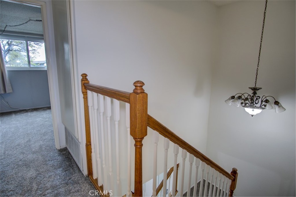 Cameron Park (CMPK) - Residential Lease