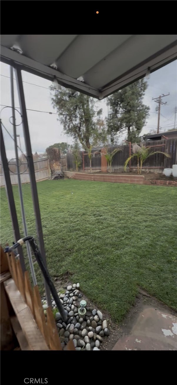 1504 Eucalyptus