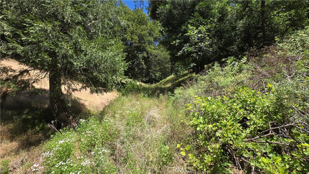 Own a beautiful part of the forest in the Cedarpines Park area of the San Bernardino mountains. If getting off the grid is something you want to do, this could be the perfect spot for you. It's heavily forested and an absolutely beautiful area. Owner will consider financing on a Note and Deed of Trust or on a Land Contract of Sale with very favorable terms. Call for details. Buyer to verify all use information and utilities with the proper governing bodies and agencies. There are no utilities that we can see. The county has not yet assigned an address to this property. Hope Ln does not exist on the site. Mojave River Rd is the closest Rd to the property. Use these coordinates to locate the property: Latitude: 34.260731 / Longitude: -117.314637. That will put you exactly on the southwest corner of the property.