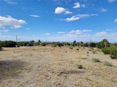 9855 Holiday Lane Pinon Hills CA 92372