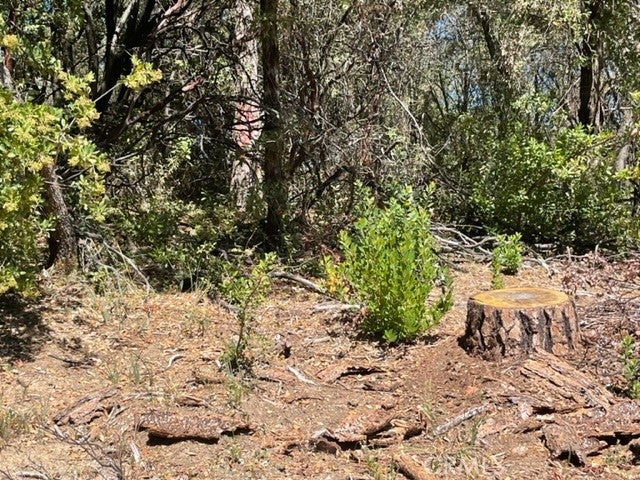 10 Broken Springs