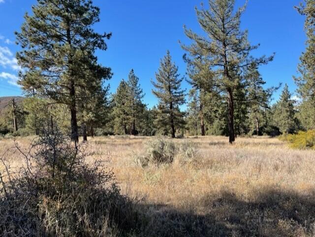 Garner Valley - Land