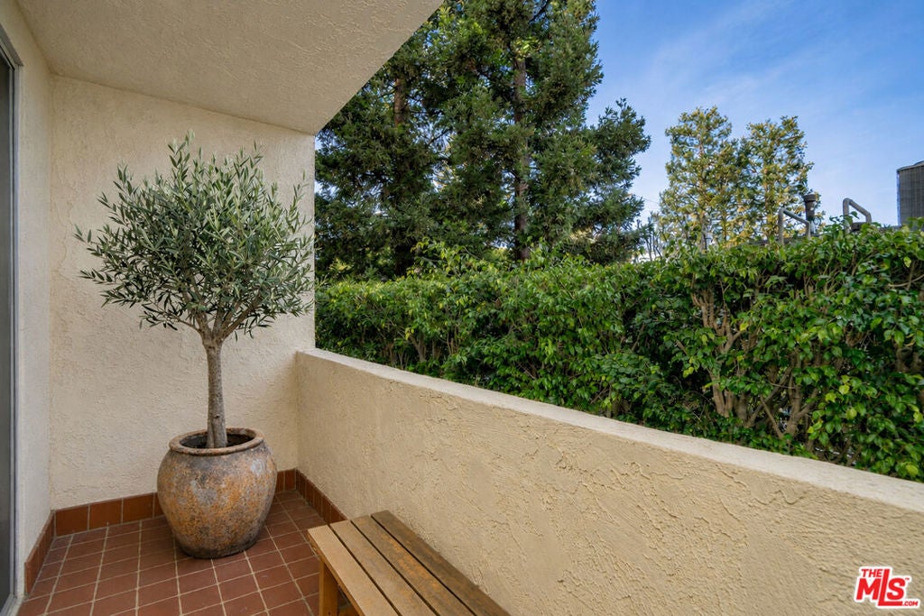 125 Montana Avenue 204, Santa Monica CA 90403