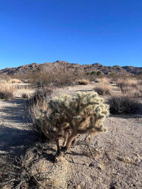 Photo of 0 Lee Rd, 29 Palms, CA 92277 (MLS # 219151891DA)