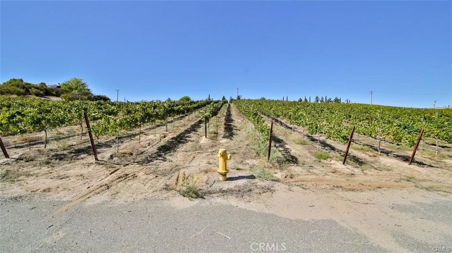 Beautiful Panoramic Views! Located in the Heart of Temecula Wine Country! One Acre Building Area in "Wine Grape Vineyard" current County Land Use, with remaining acreage being fully maintained by the Vineyard Grower. You'll benefit from beautiful sight and truly breathtaking views of the surrounding vineyards. Adjacent 30 acres  to remain vineyard, and no future development is to be proposed/built. Paved Road, Water and Electricity at the street. Buyer to verify. Stroll to neighboring world class and award winning wineries! Close proximity to dining, shopping, golf, excellent schools, casinos, Historic Old Town Temecula, freeways. Build your Dream Home.