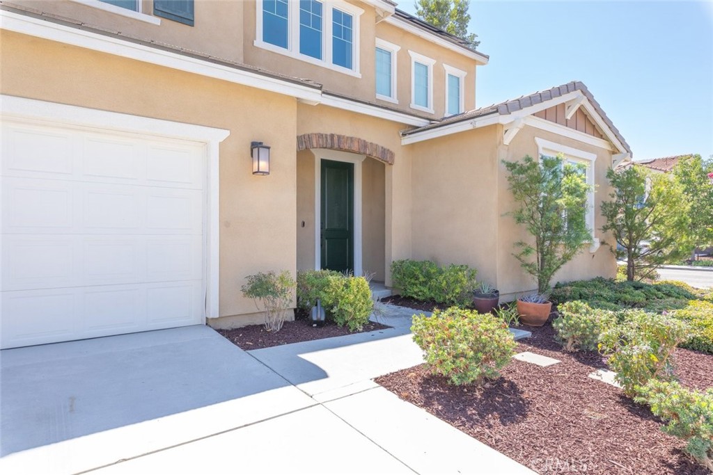 29206 Hibiscus