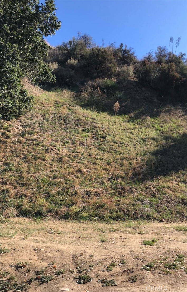 Custom Val Verde (CVVER) - Land