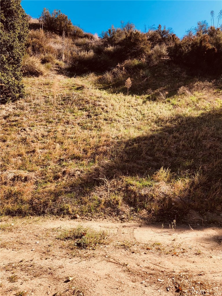 Custom Val Verde (CVVER) - Land