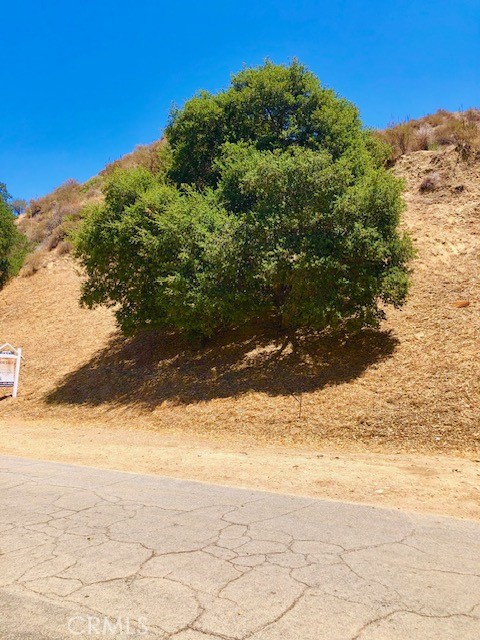 Custom Val Verde (CVVER) - Land