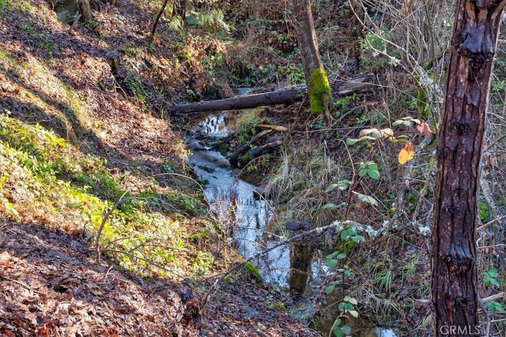 Photo of 51354 Dorstan Drive, Oakhurst, CA 93644 (MLS # FR26026864)