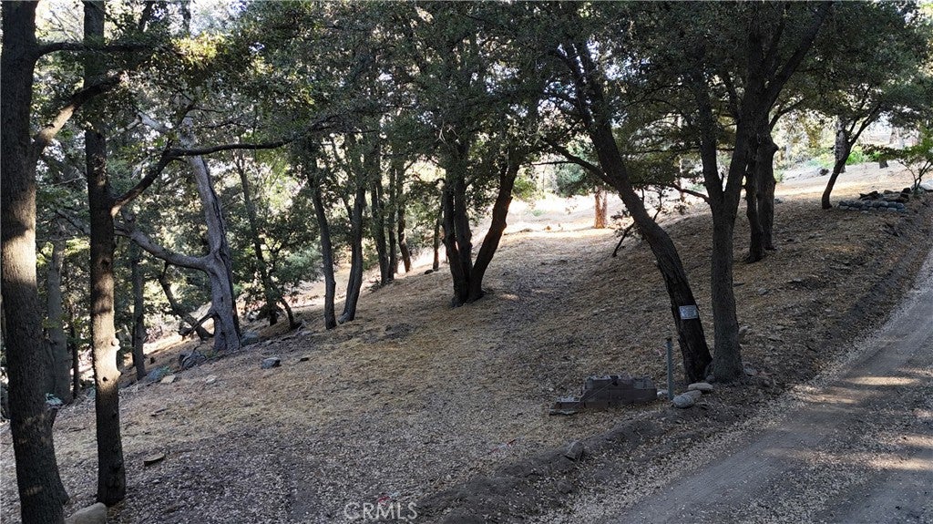 722 Mojave River Road
