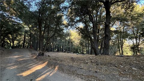 Photo of 722 Mojave River Road, Cedarpines Park, CA 92322 (MLS # HD26095039)