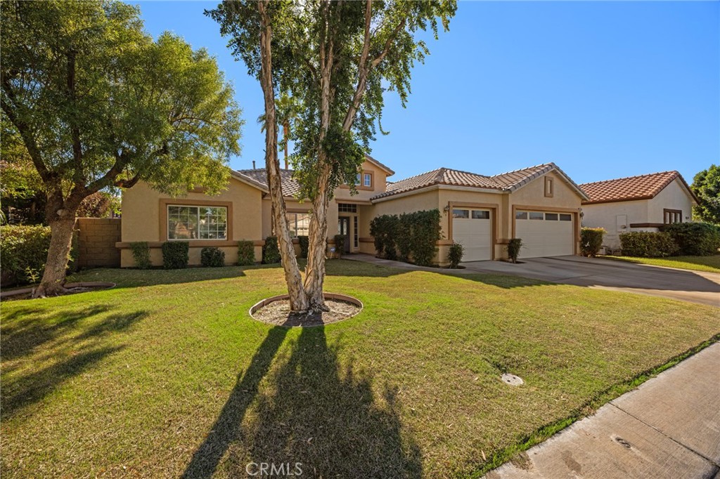 45254 Crystal Springs