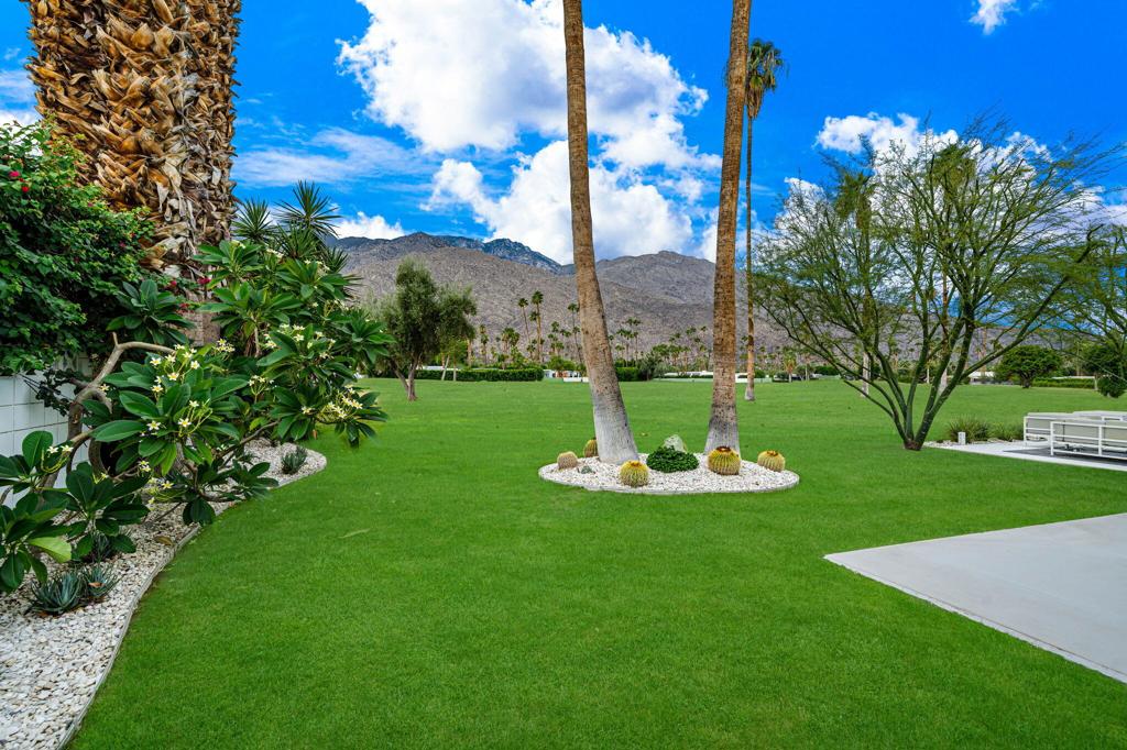 Indian Canyons - Residential