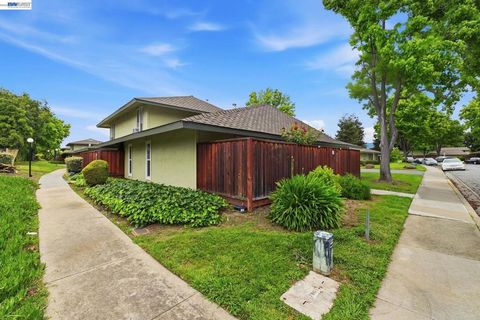 Photo of 5649 Evergreen Ter TER, Fremont, CA 94538 (MLS # 41133475)