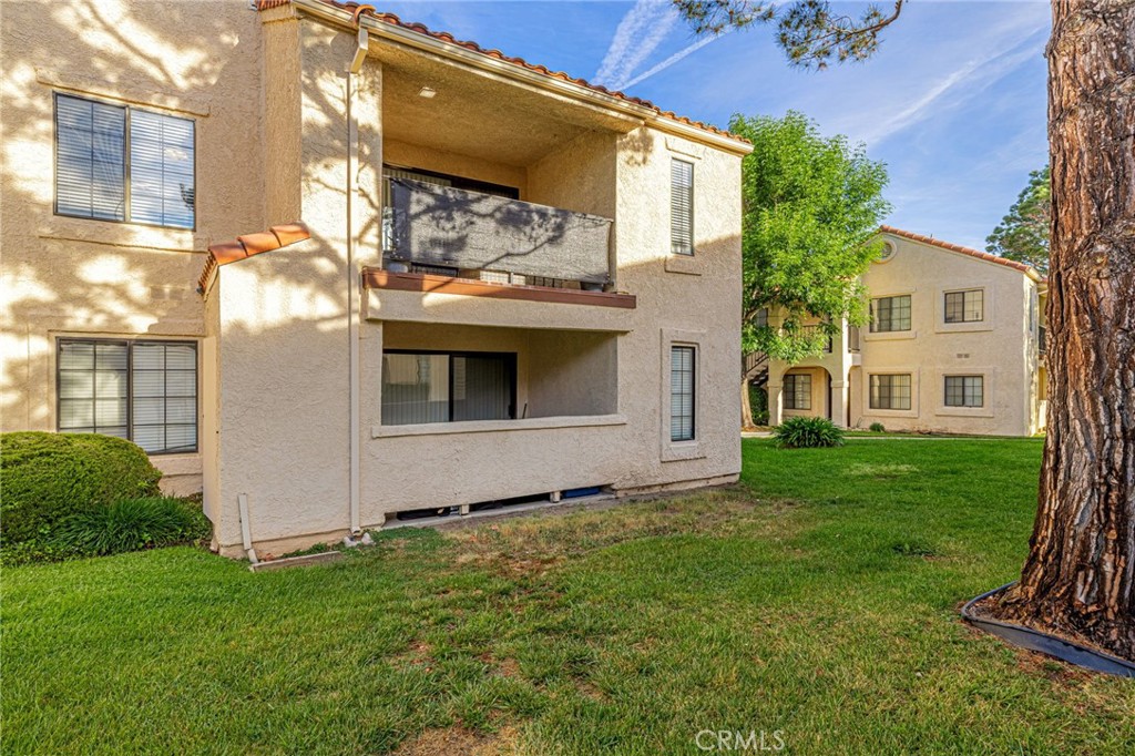 2554 Olive 82