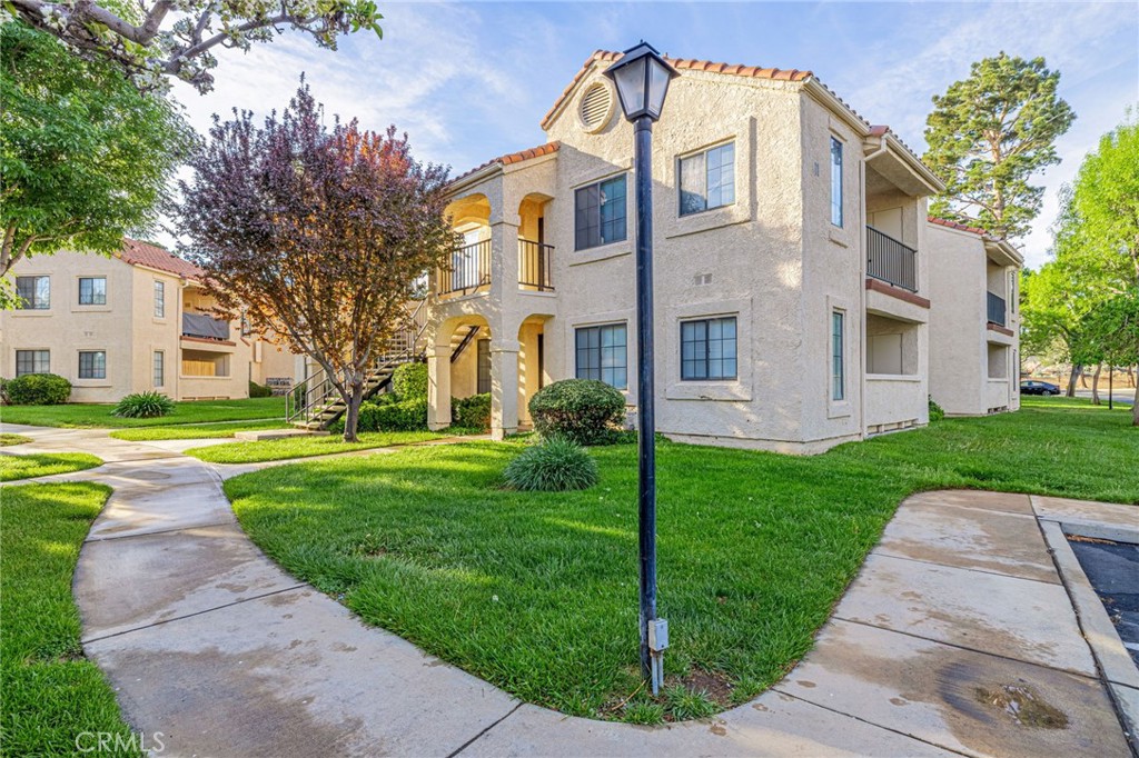 2554 Olive 82