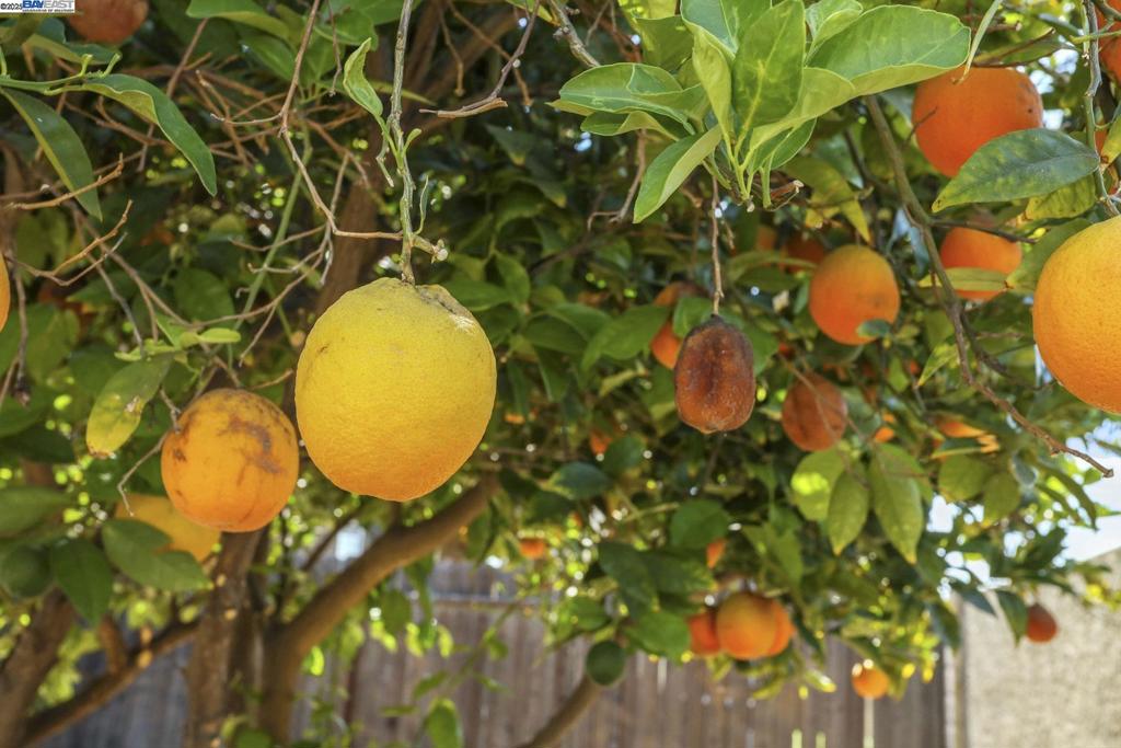 WOODFIELD ESTS - Residential