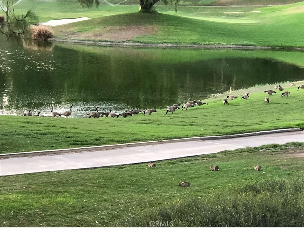 Tijeras Creek Villas (TCV) - Residential