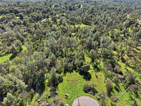 Photo of 4251 Burl, Mariposa, CA 95338 (MLS # MC26053692)
