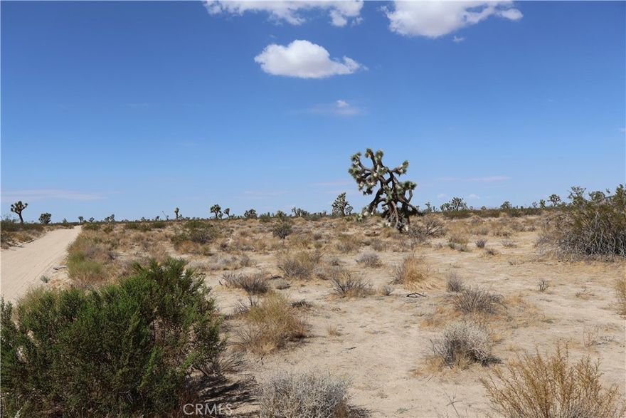 Come take a look at this beautiful lot located in the City of Adelanto. Many new developments are in the works which will bring growth in the next couple of years. So much opportunities are available and affordable. Rural area for those wanting to get away from the busy city life. Zoned OS (Open Space) which allows a Single Family Residential use, permitted by right with location and development plan approval. Or even Parks, Plazas and Trails may be permitted. A conditional use permit may possibly allow Cellular, Microwave Antenna/Towers and related equipment buildings and more. US Highway 395 is not far from this location. Southern California Logistics Airport is also near. Adelanto City Hall and Richardson Park is located on the same road and about 10 minutes away driving. Gas stations, Adelanto Stadium and Schools are real close. Come and experience the opportunity that this city offers. Thanks for viewing!