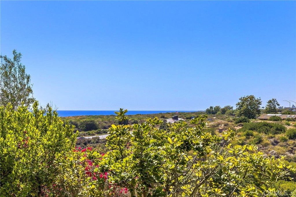 28 Sandy Cv, Newport Coast CA 92657 - Photo 28