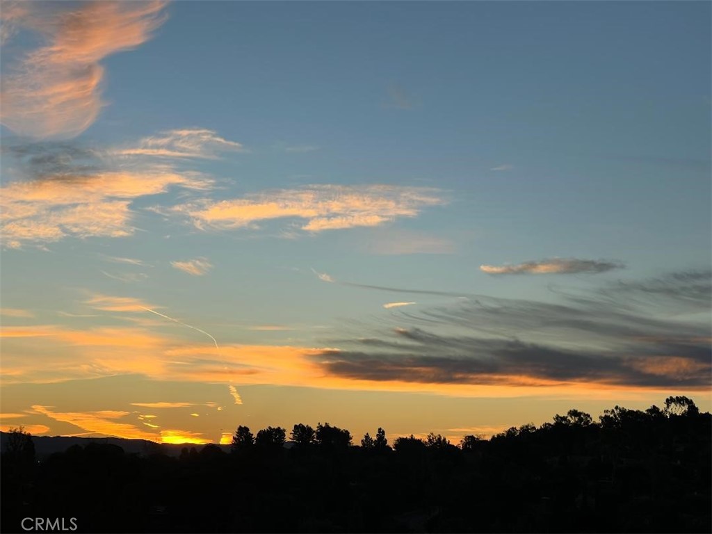 24055 Paseo Del Lago #1257