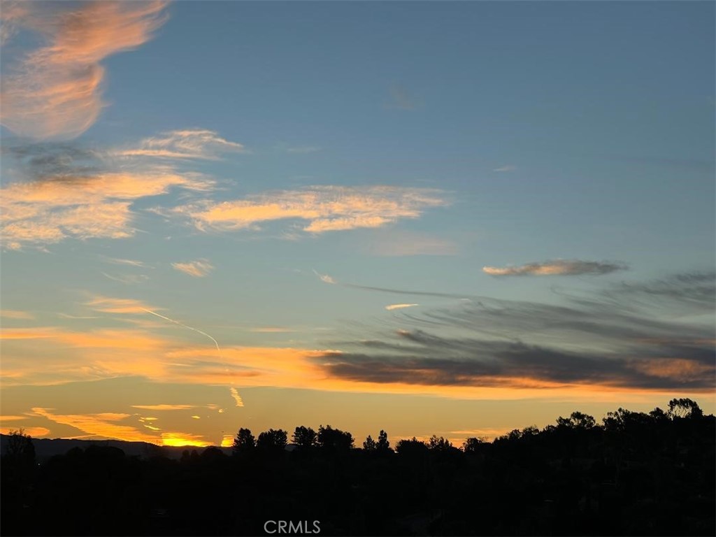 24055 Paseo Del Lago #1257