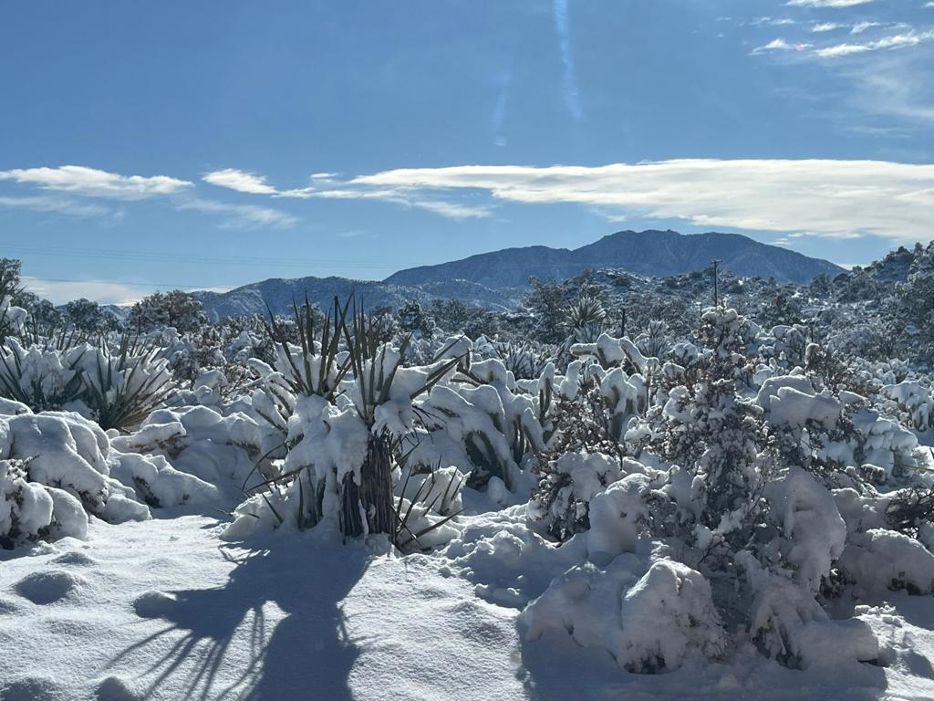 Pinyon Crest - Residential