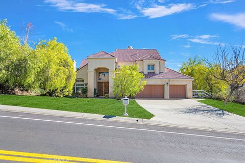 Photo of 15508 Live Oak Springs Canyon Rd, Canyon Country, CA 91387 (MLS # SR26007505)