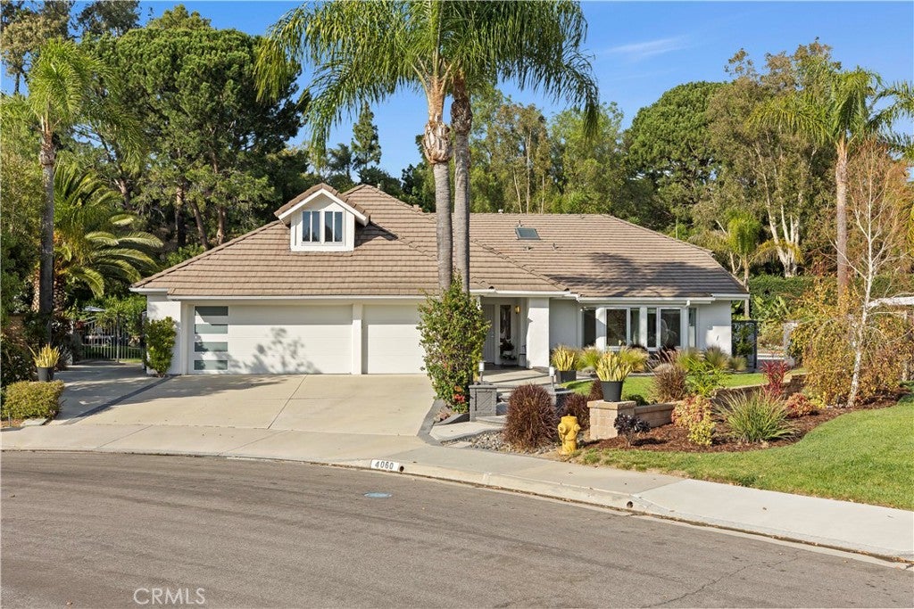 4060 Hickory Tree