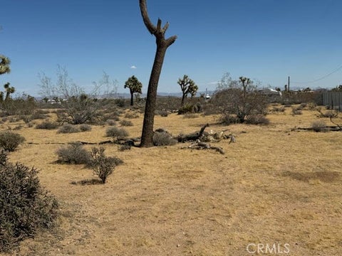 Photo of 1234 Alta Avenue, Yucca Valley, CA 92284 (MLS # JT26218158)