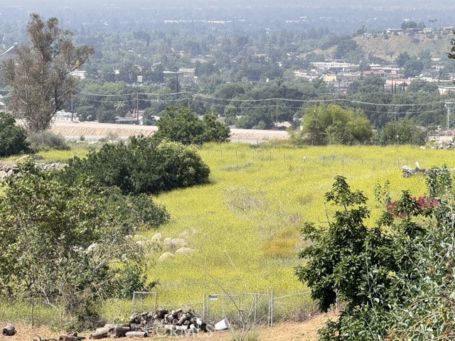 425 Arrowhead Road