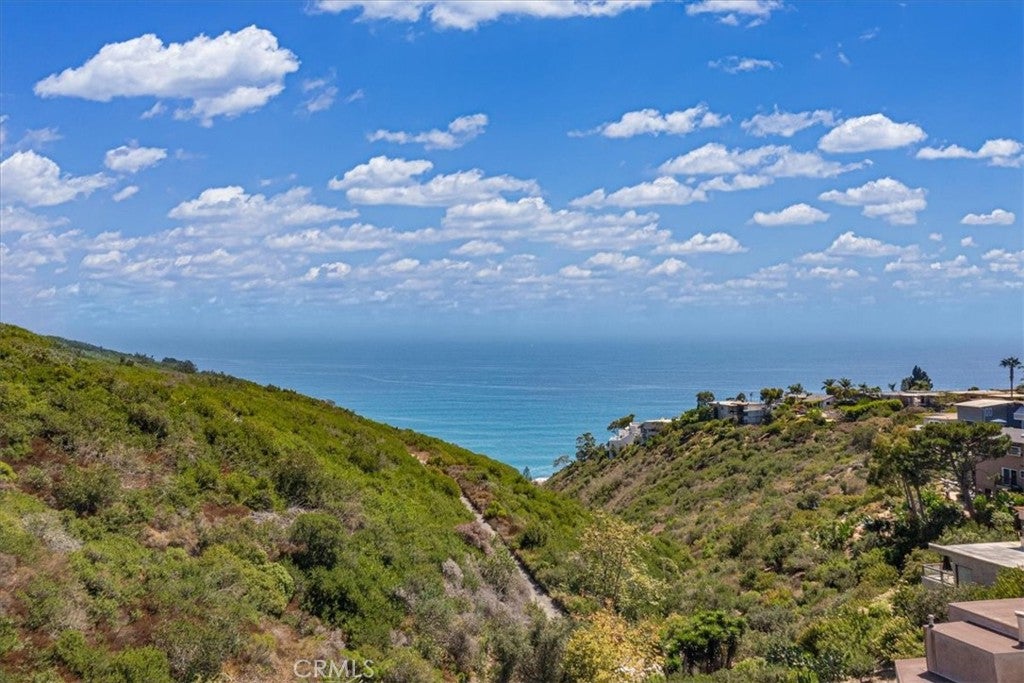 1046 Oro, Laguna Beach CA 92651 - Photo 40