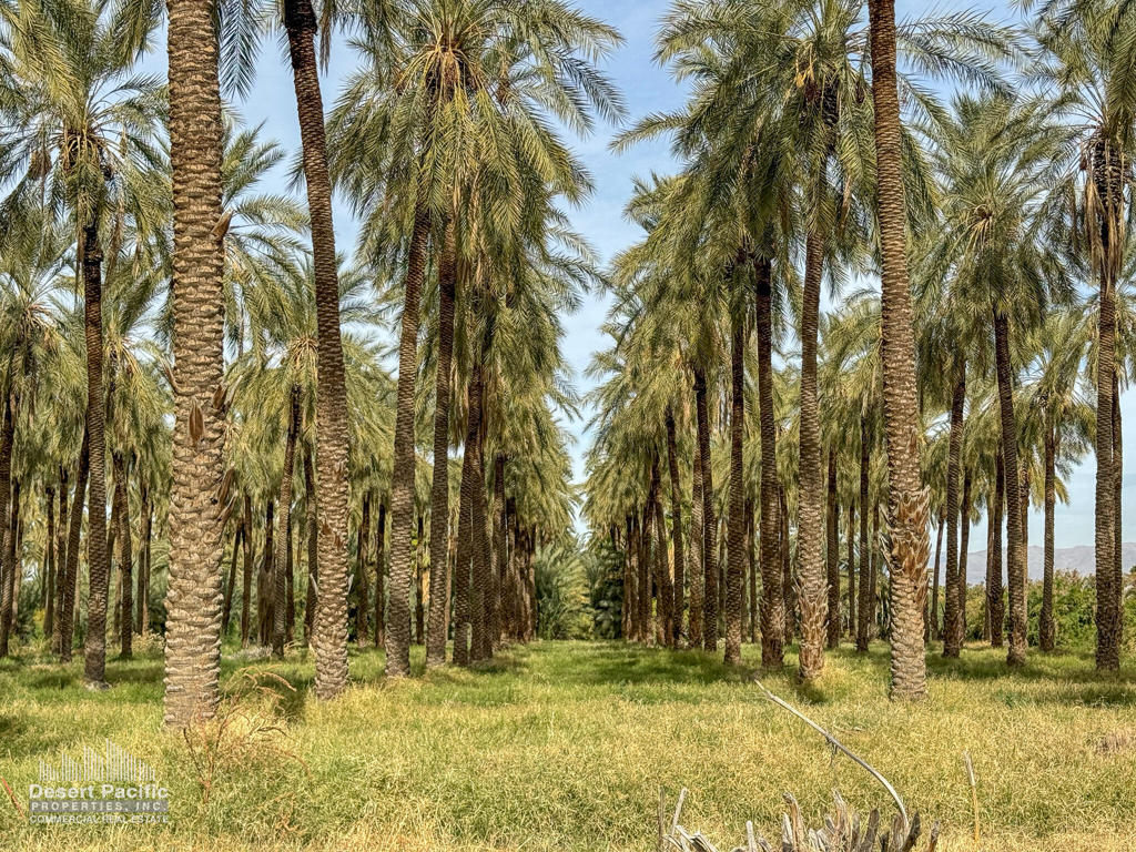 Thermal - Land