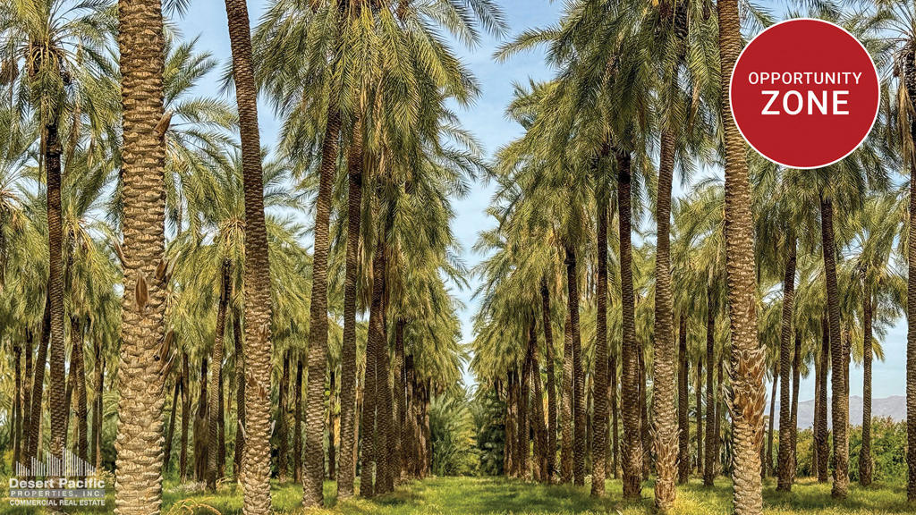(Chuchian Ranch) All or Part. 20.5 AC - 856.47 AC Portfolio of 9 Ranches. Approx. 2,256 organic date trees located on the property. Just 1.5 miles to The Thermal Club, an exclusive luxury motorsports track. Two miles to Jacqueline Cochran Regional Airport. Easy access to Expressway 86. In Opportunity Zone, providing potential tax incentives. Abundant and affordable Coachella Valley Water District (CVWD) irrigation water, one of the lowest water rates in California. *Brochure & Offering Memorandum can be downloadable in 'Document' tab.