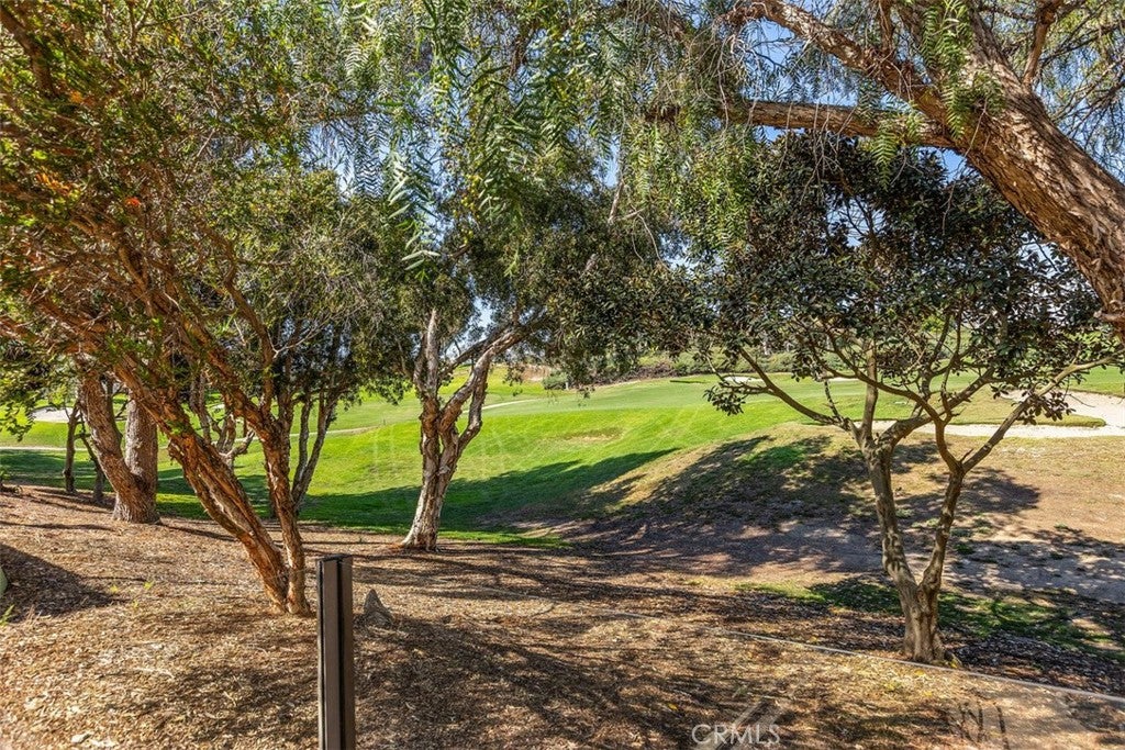 48 Paseo Verde, San Clemente CA 92673 - Photo 33