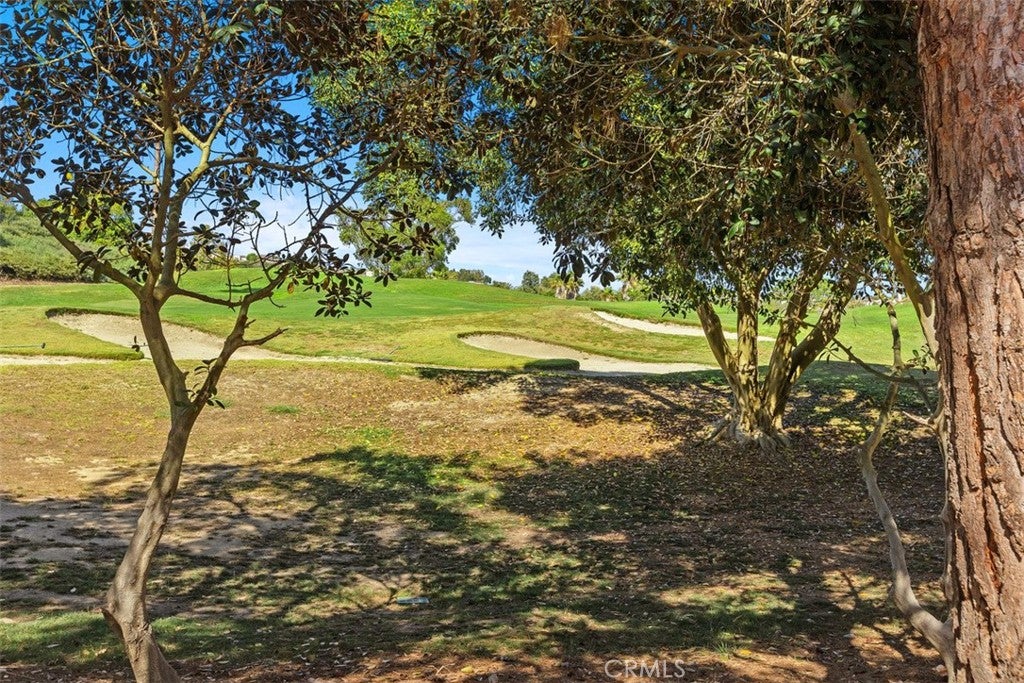 48 Paseo Verde, San Clemente CA 92673 - Photo 32