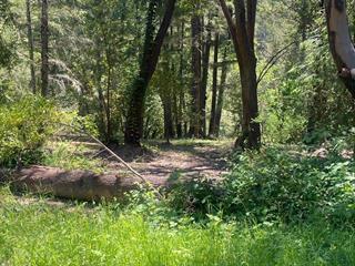 17000 Bear Creek Road