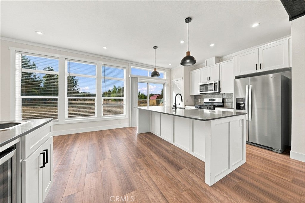 17203 Mustang Court