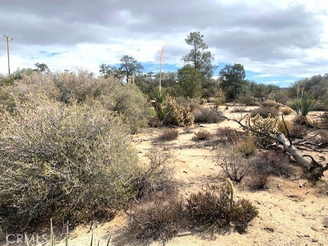 368 Palm Canyon Drive