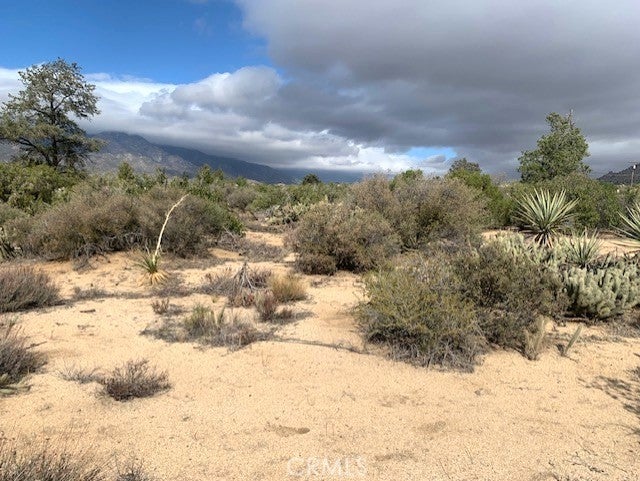 368 Palm Canyon Drive